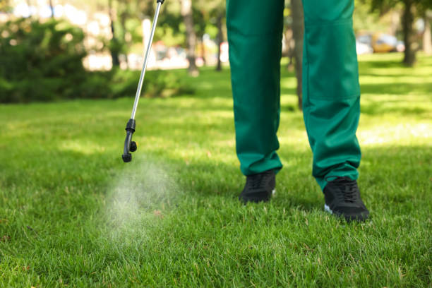 Best Cockroach Control Services  in Sheffield, AL