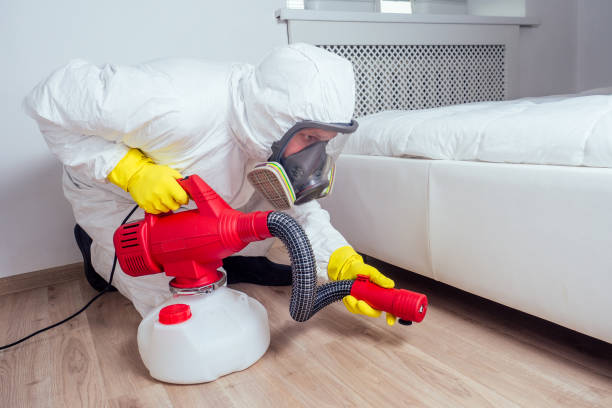 Best Affordable Pest Control Services  in Sheffield, AL