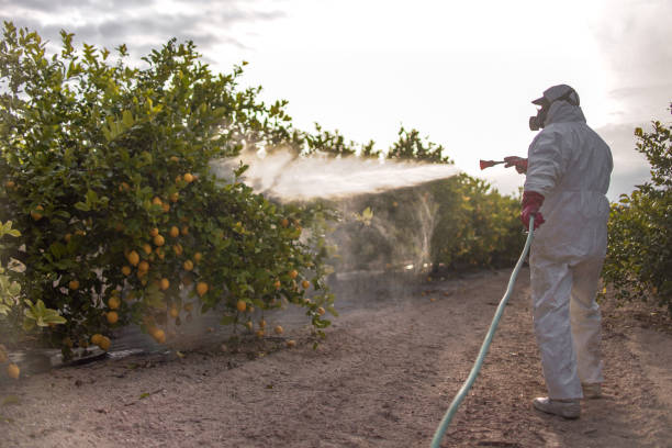 Best Best Pest Control Companies  in Sheffield, AL
