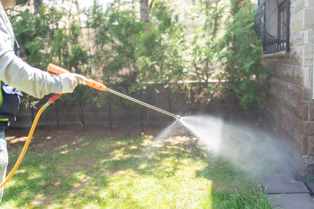 Best Mosquito Control Services  in Sheffield, AL