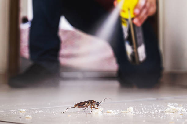 Best Affordable Pest Control Services  in Sheffield, AL