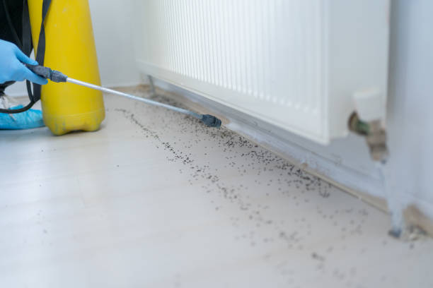 Best Wasp Removal Services  in Sheffield, AL