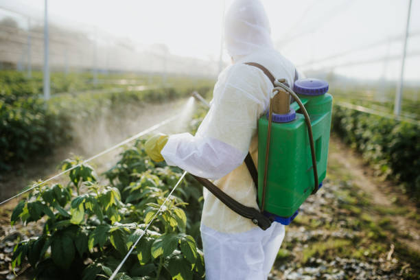 Pest Control Cost in Sheffield, AL